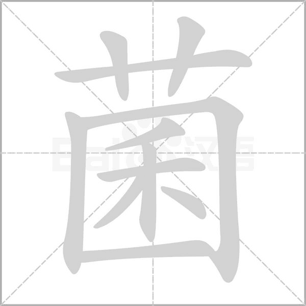 菌笔顺动图