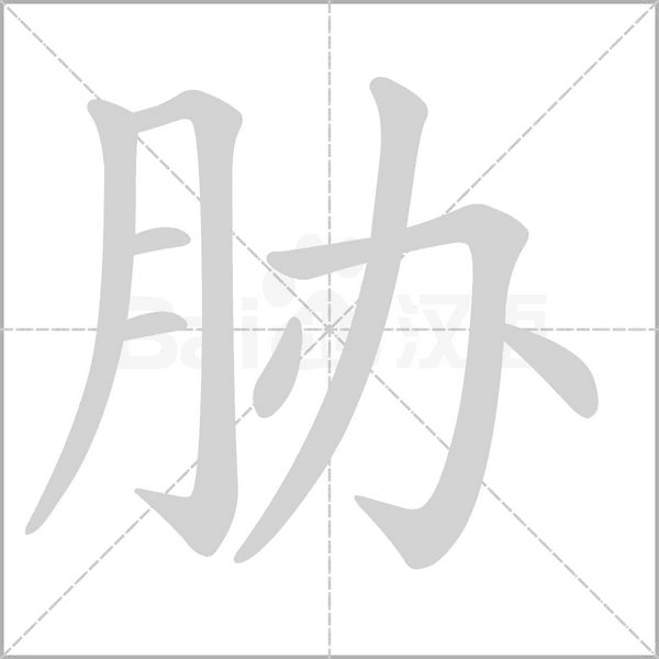 胁笔顺动图