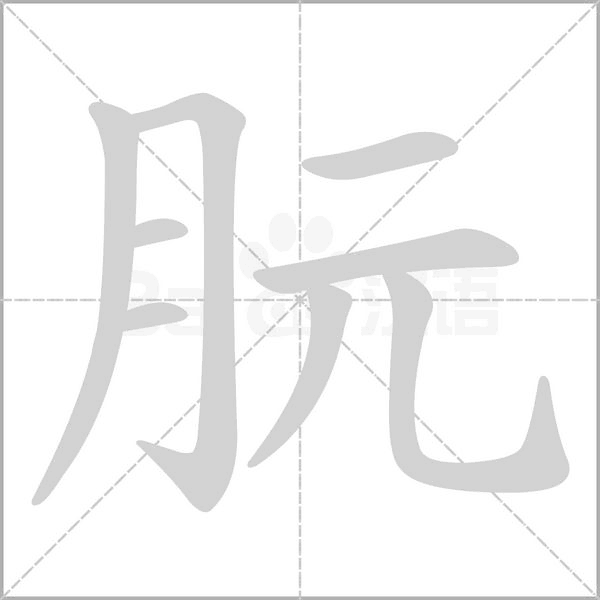 朊笔顺动图