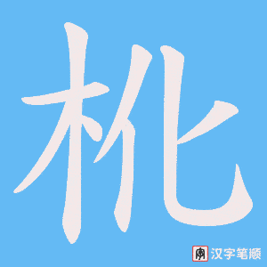 杹笔顺动图