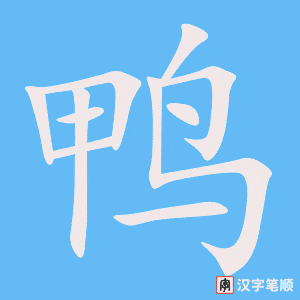 鸭笔顺动图
