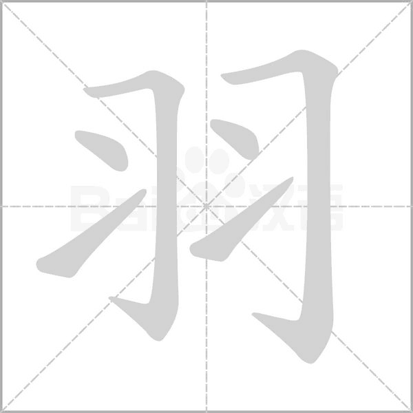羽笔顺动图