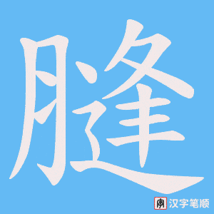 膖笔顺动图