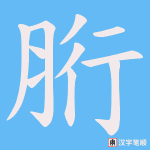 胻笔顺动图
