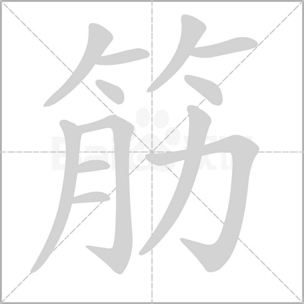 筋笔顺动图