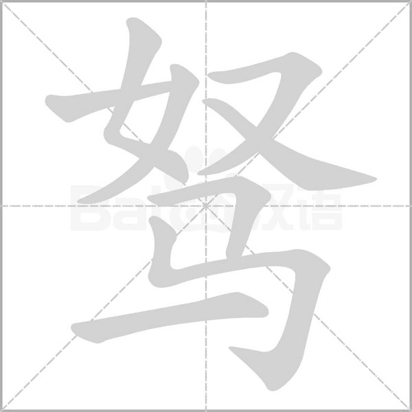 驽笔顺动图