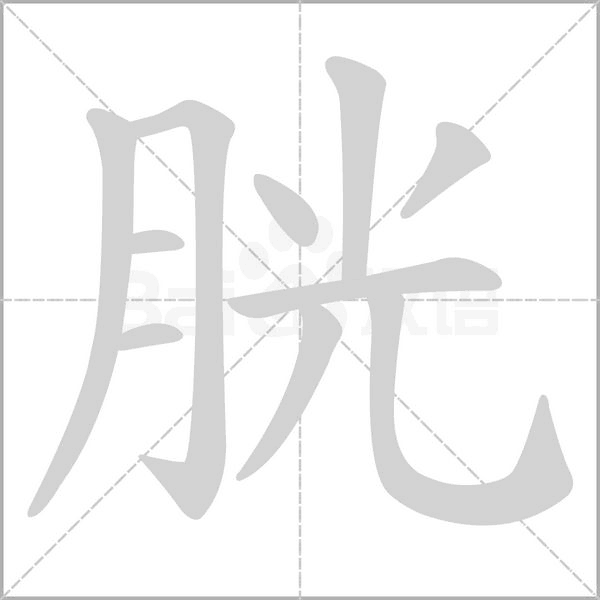 胱笔顺动图