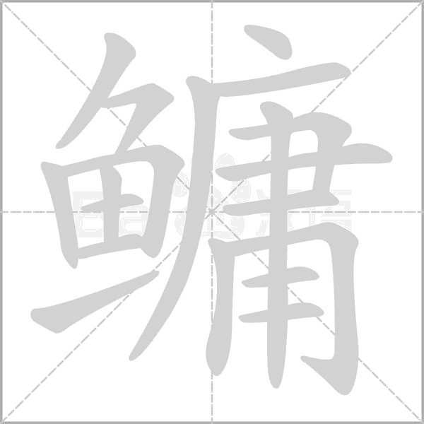 鳙笔顺动图