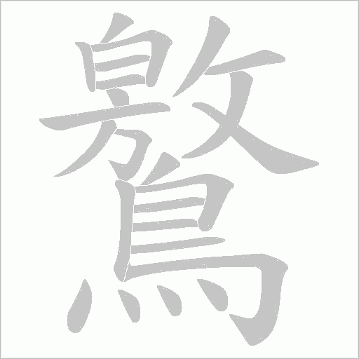 鸄笔顺动图