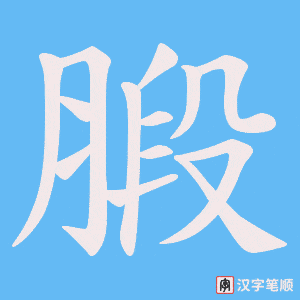 腶笔顺动图
