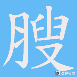 膄笔顺动图