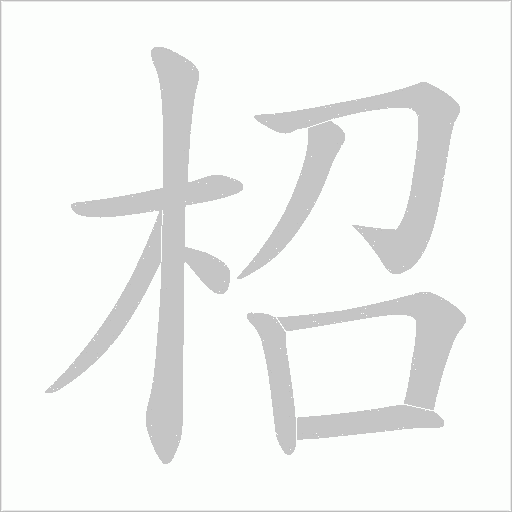 柖笔顺动图