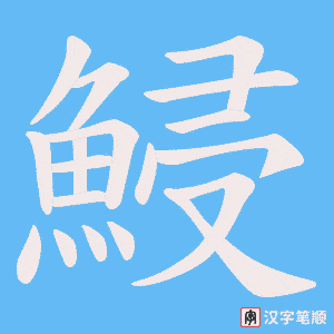 鮼笔顺动图