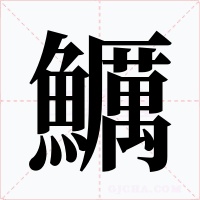 鱱笔顺动图