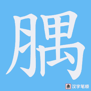 腢笔顺动图