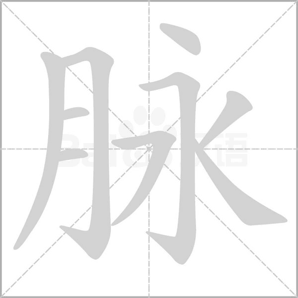 脉笔顺动图