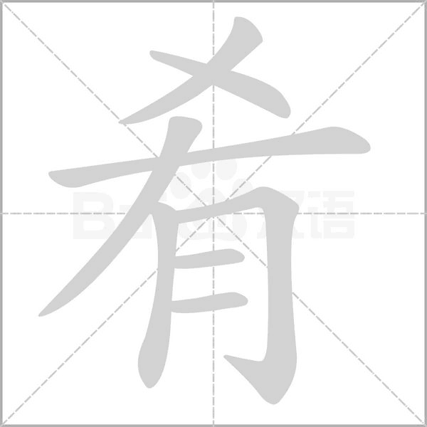 肴笔顺动图