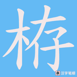 栫笔顺动图