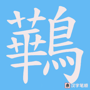 鷨笔顺动图