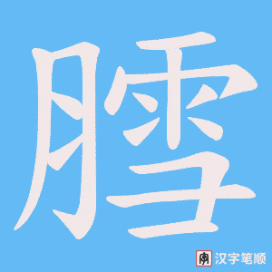 膤笔顺动图