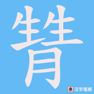 甧笔顺动图