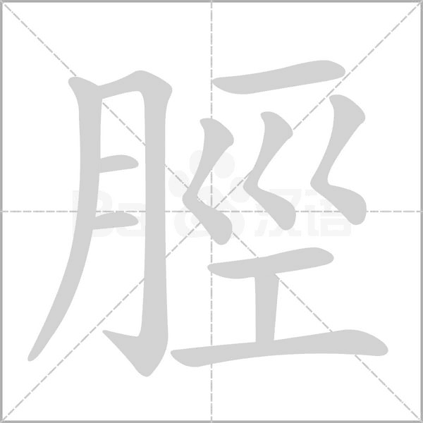 脛字动图