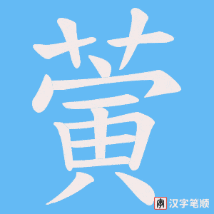 蔩笔顺动图