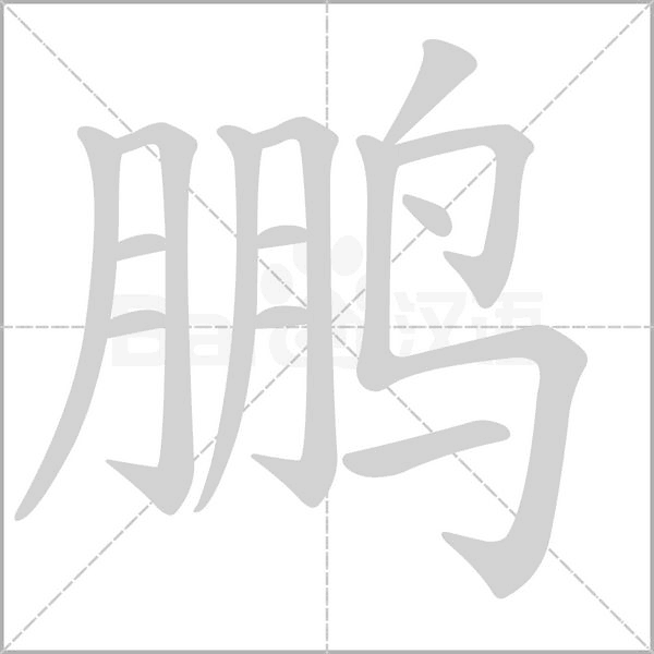 鹏笔顺动图