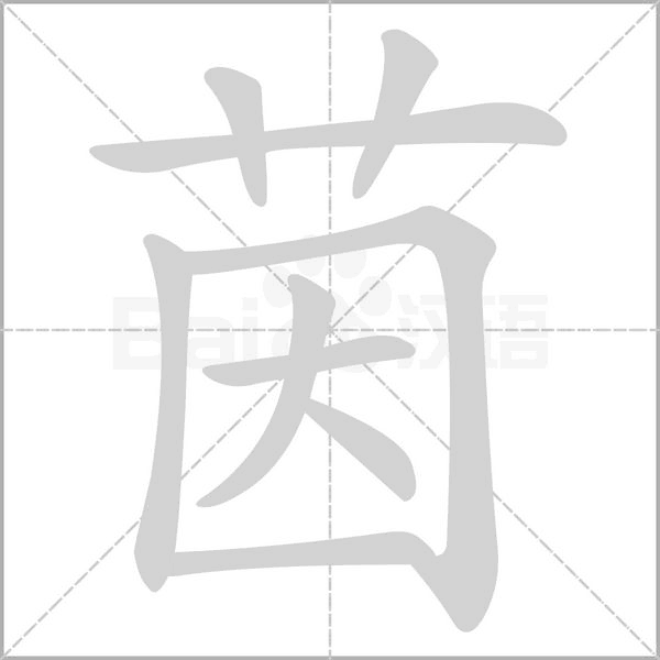 茵笔顺动图