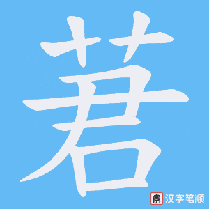 莙笔顺动图
