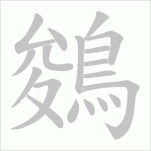 鵕笔顺动图