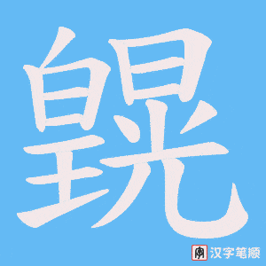 皩笔顺动图