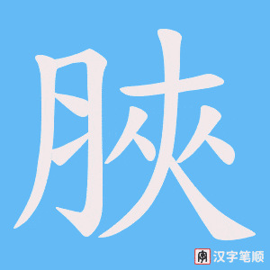 脥笔顺动图