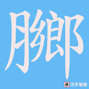 膷笔顺动图