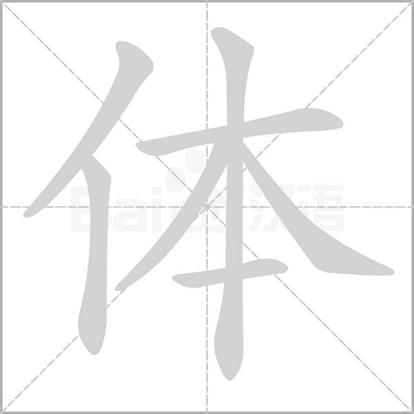体笔顺动图