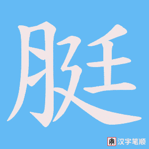 脡笔顺动图