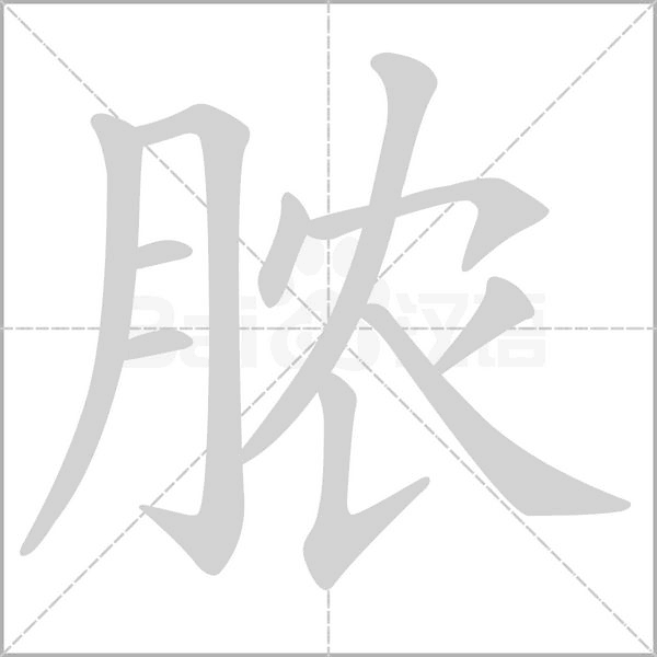 脓笔顺动图