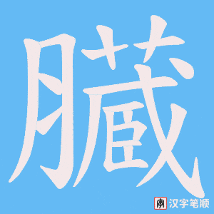 臓笔顺动图