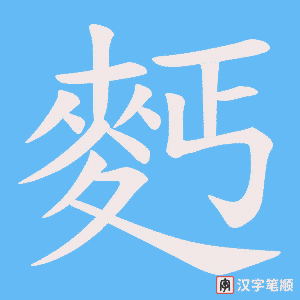 麫笔顺动图