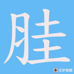 胿笔顺动图