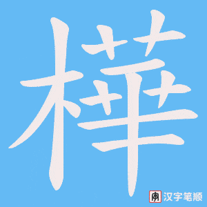 樺笔顺动图