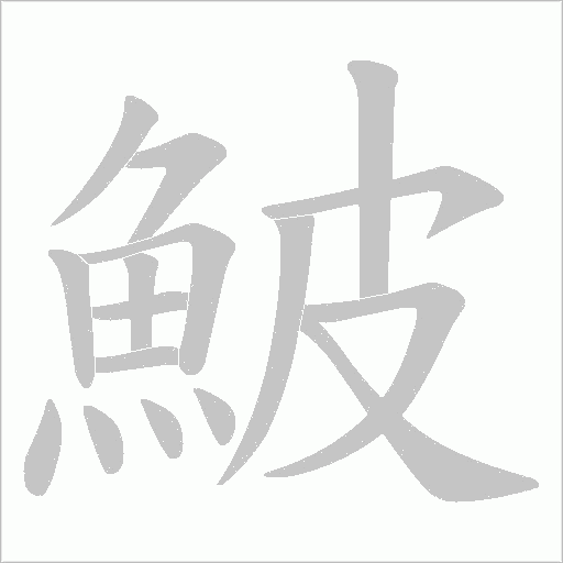 鮍笔顺动图
