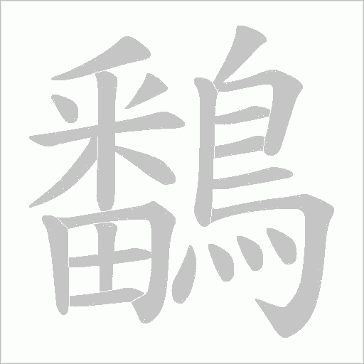 鷭笔顺动图