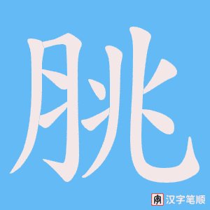 脁笔顺动图