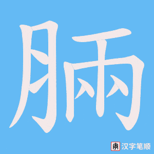 脼笔顺动图
