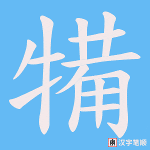 犕笔顺动图