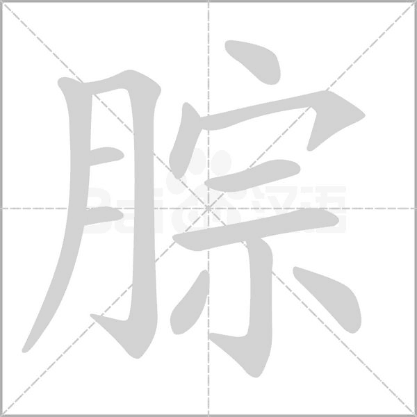 腙笔顺动图