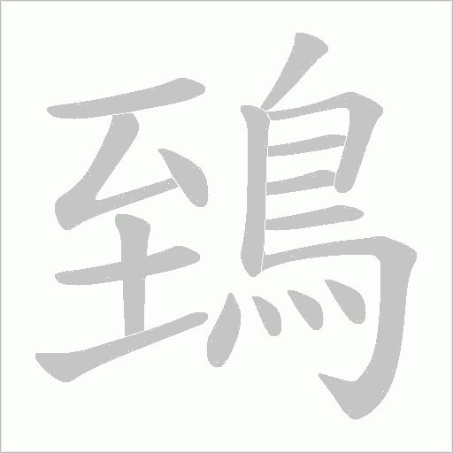 鵄笔顺动图
