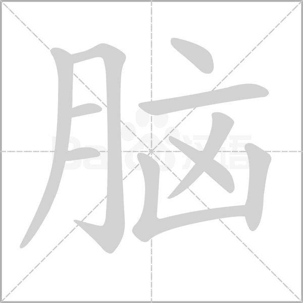 脑笔顺动图
