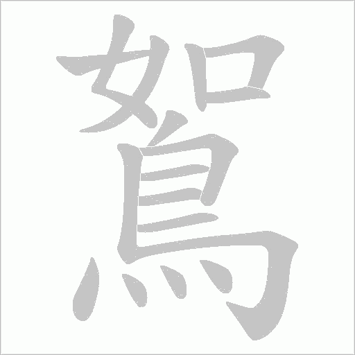鴽笔顺动图